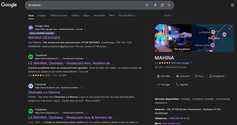 screen google business voyage france guadeloupe
