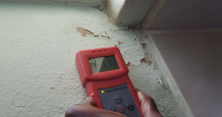 Moisture reading Randburg