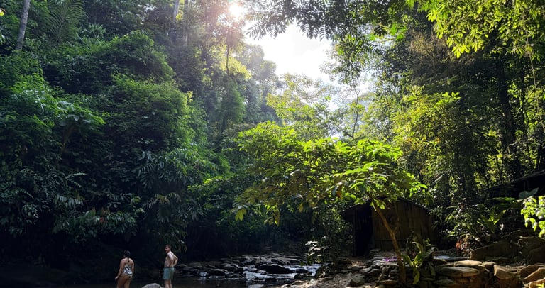 Bukit Lawang Trekking