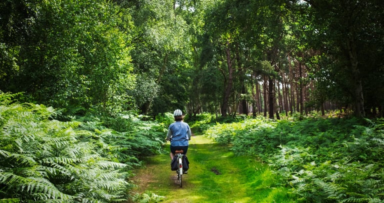 balade santé à vélo en forêt d'Ile de France