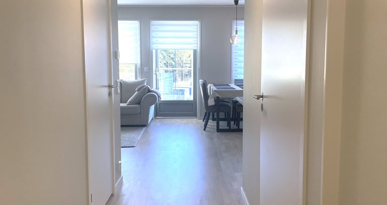 Bright modern hallway with white walls, wood flooring, and a metal shoe rack leading to a living area.