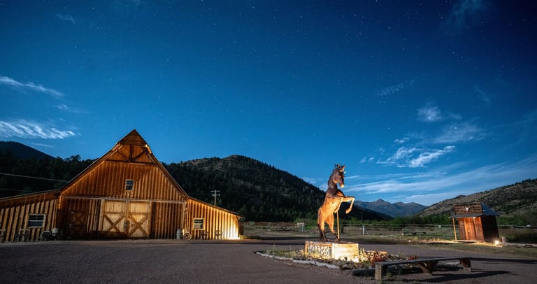 Stanley under the stars