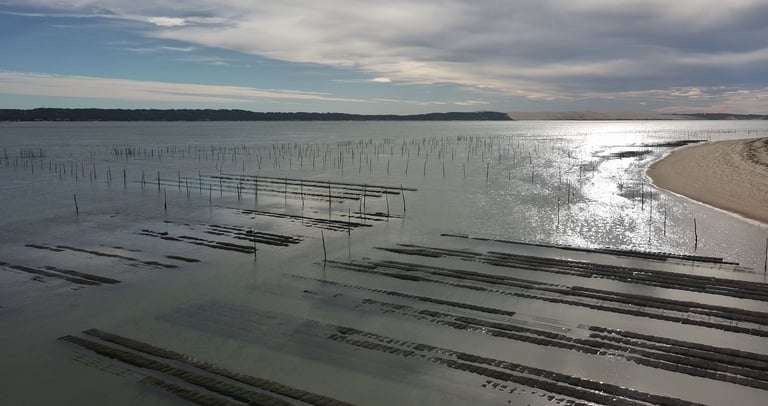 Vue aérienne des lits d'élevage d'huîtres et des poteaux en bois dans la baie d'Arcachon 