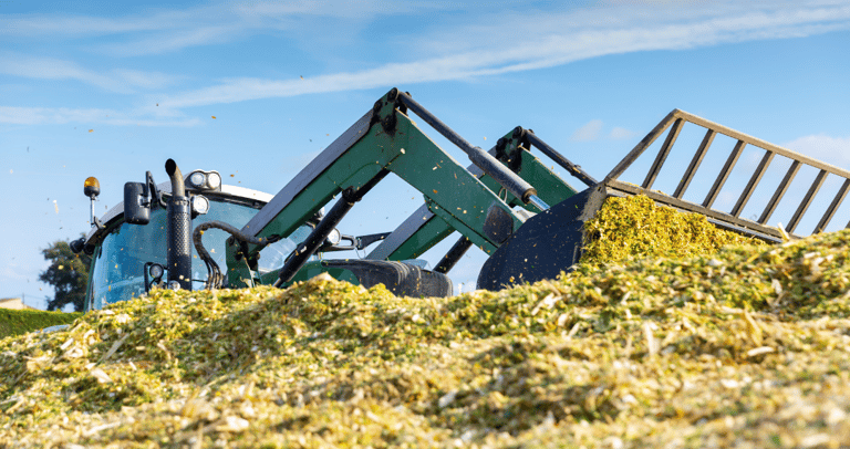 A green tractor uses a front loader to move harvested corn silage into a large pile for livestock feed storage.