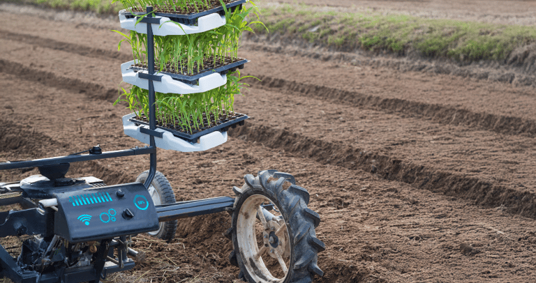 A compact mechanical vegetable transplanters planting young green seedlings in a tilled farm field.