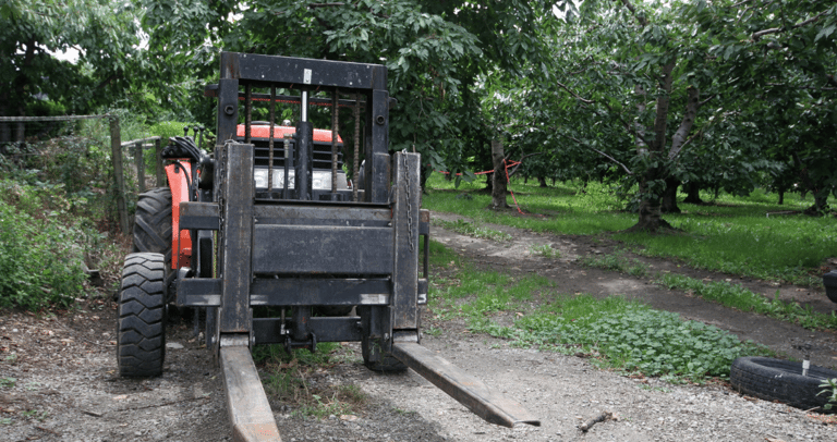 Orange rough terrain forklift parked on a gravel path in a green fruit orchard.