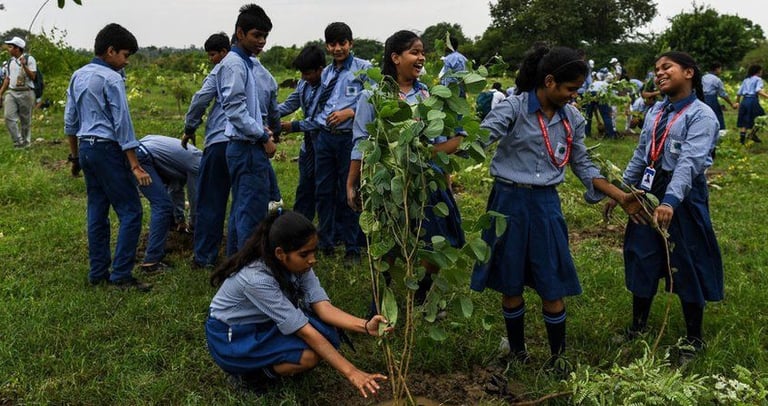Best tree plantation agency