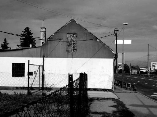©Viola Rühse