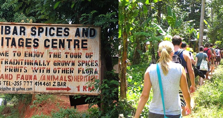 Zanzibar spice farm tour