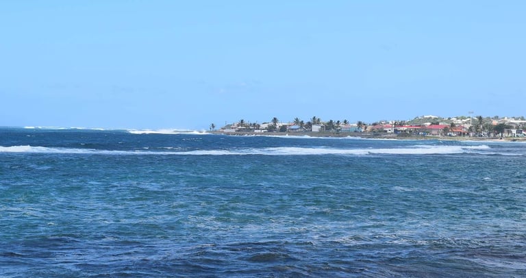 le moule voyage france guadeloupe