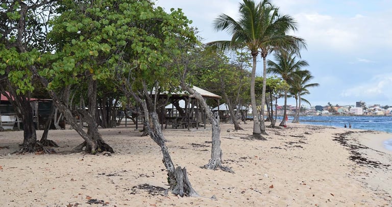 le moule voyage france guadeloupe