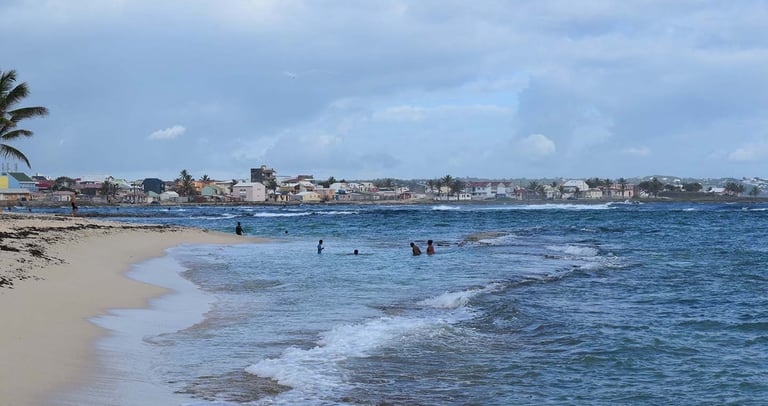 le moule voyage france guadeloupe