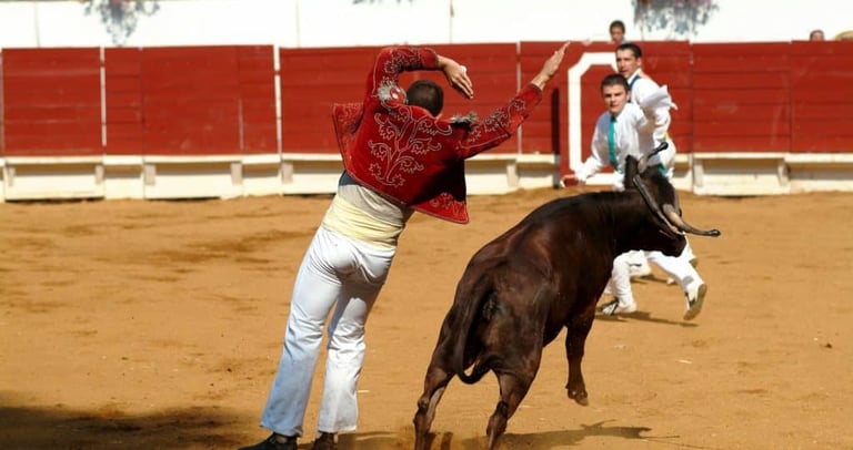 course camarguaise landaise 