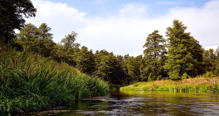 How to clear spaces from negative energies