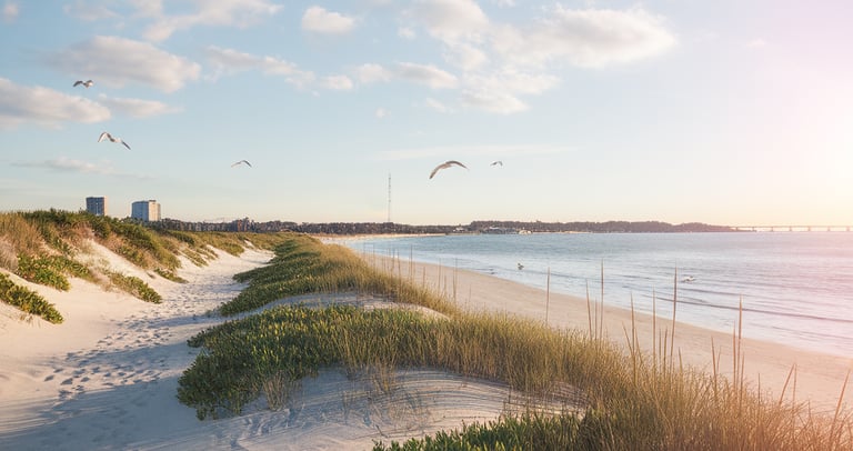 Summer Landscape Photos