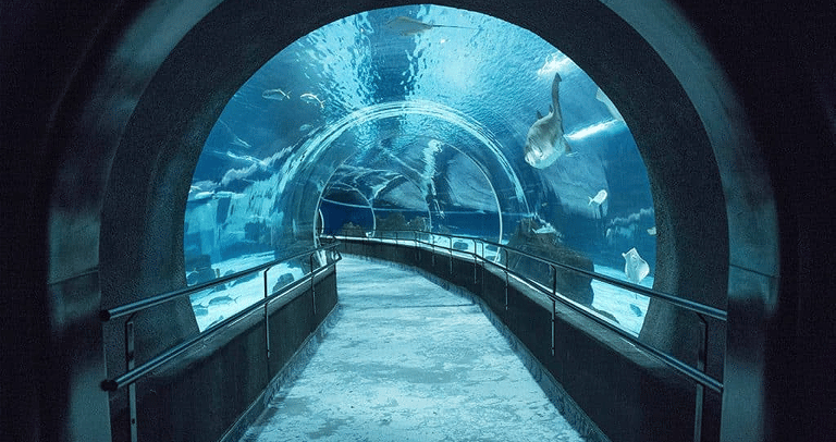 Santos' Aquarium