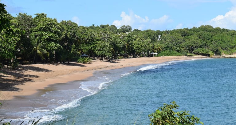 plage des Amandiers voyage france guadeloupe