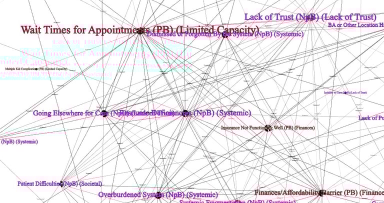 network of healthcare barriers and enablers