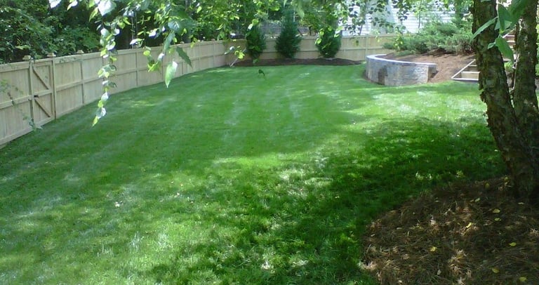 Routine lawn care treatment supporting strong turf and long-term lawn health.