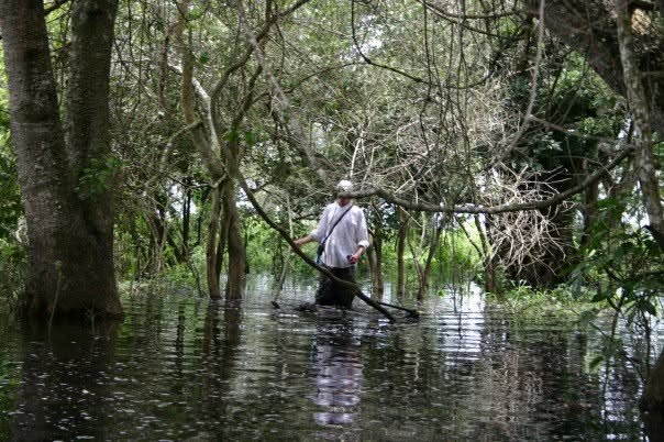 Wading through the wetlands in search of an anaconda