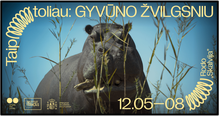 Taip toliau: GYVŪNO ŽVILGSNIU