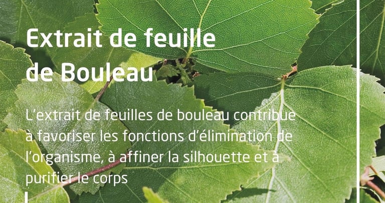 extrait de feuille