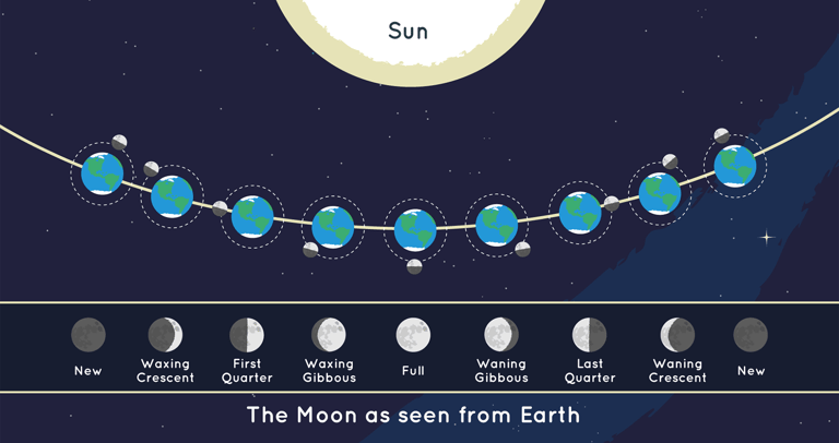 a diagram of the moon phases