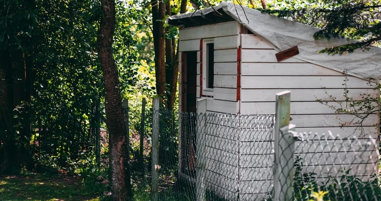 an old white shed surrounded by trees