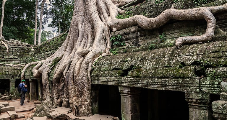 Templo de Ta Prohm. Guías de Angkor en Español