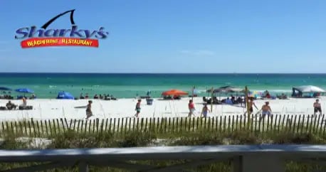 pcb-live-cams
