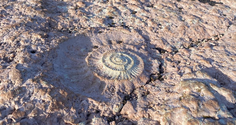 Spain hiking fossil