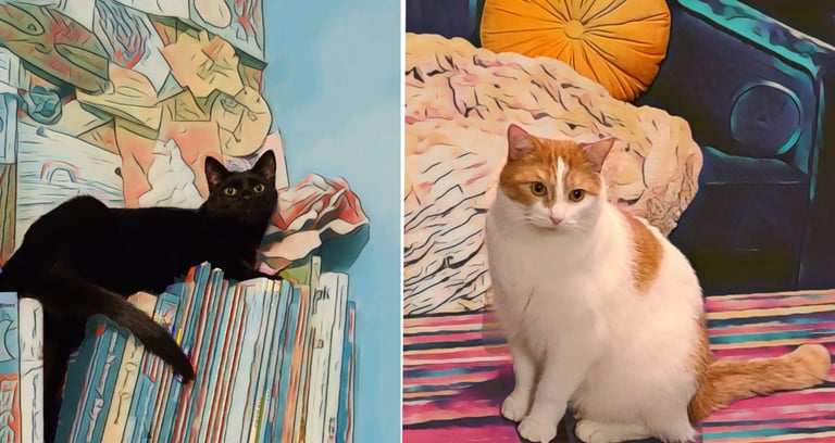 A black cat and a white and orange tabby cat