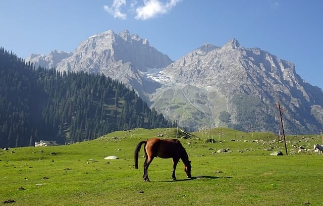 Kashmir travel packages