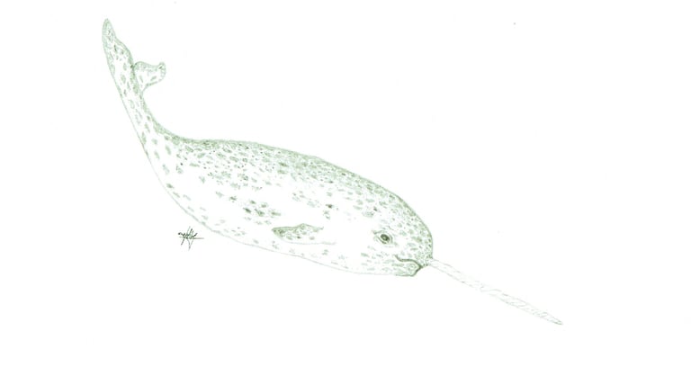 descending narwhal 6''X9''