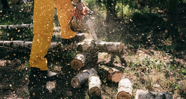 tree trimming and log cutting with a chainsaw