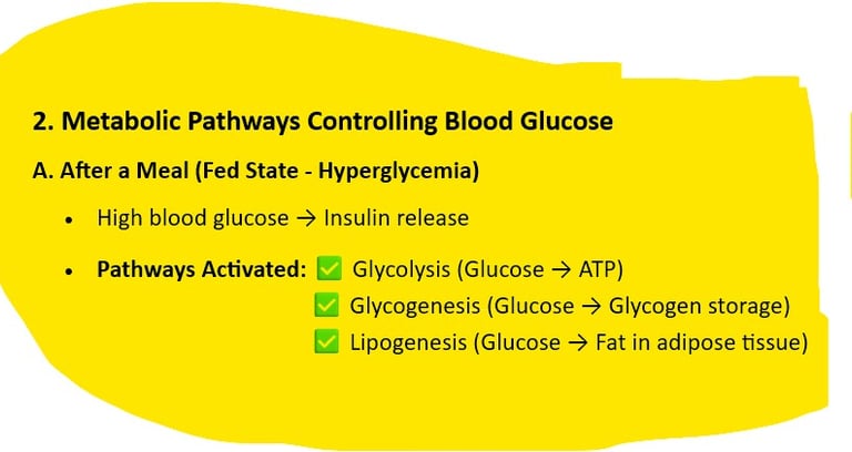 Fed State - Hyperglycemia