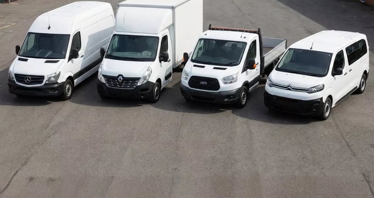 furgonetas y camiones 3500kg