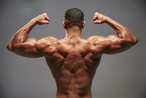 Rear view of a muscular bodybuilder flexing well-defined back muscles and biceps in a double bicep pose.