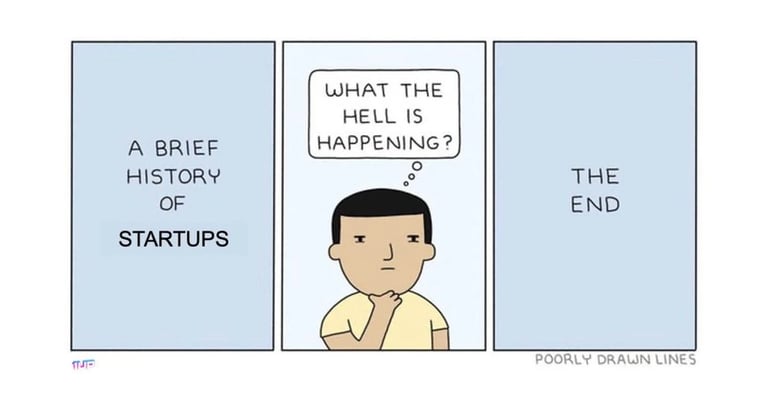 A brief history of startups comic showing a confused founder and a chaotic timeline.
