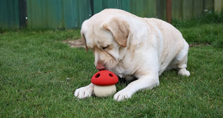 Puzzel & Plezier sessie