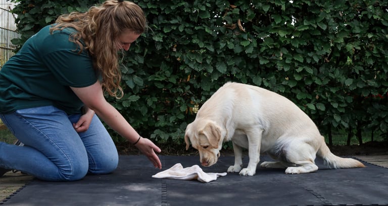 Hersenwerk begeleiding