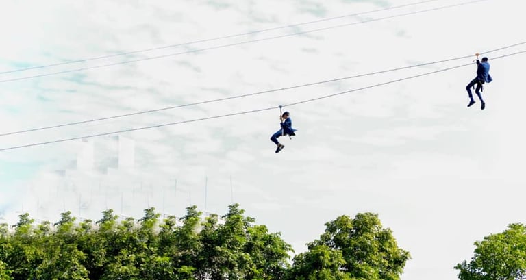 SAM Zip Line