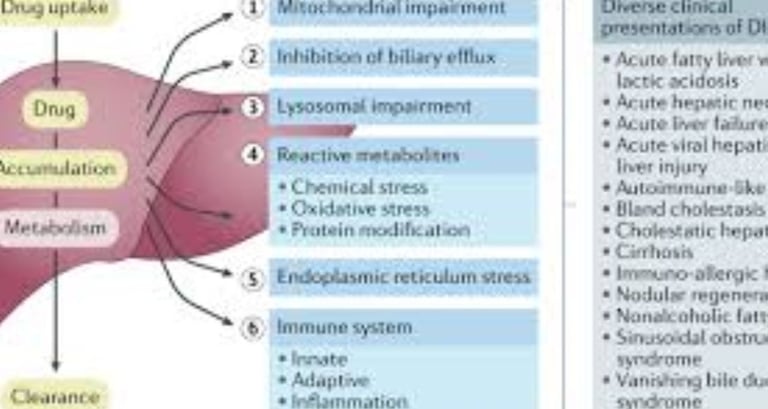fatty liver disease drug induced
