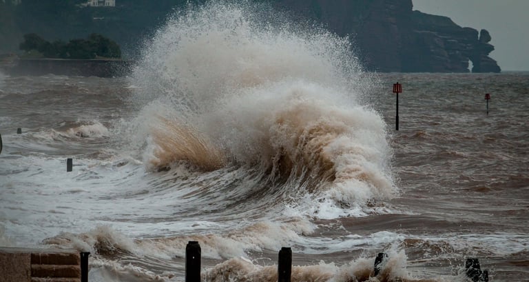 the image of tsunami wave