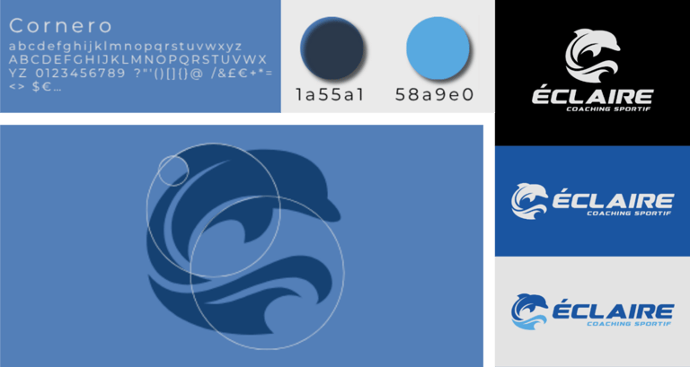 Guide d'identité de marque pour coach sportif avec un logo de dauphin.