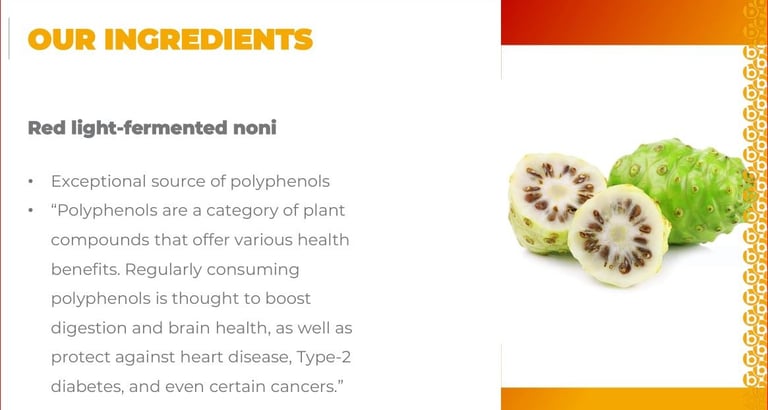 Lees wat de invloed van je microbioom is