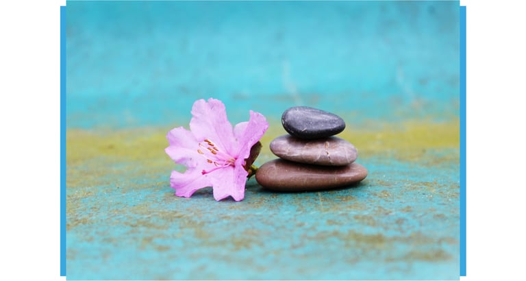 Flor e pedras em fundo azulado