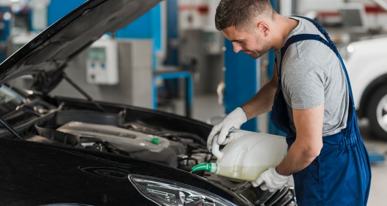 Guincho Florianopolis