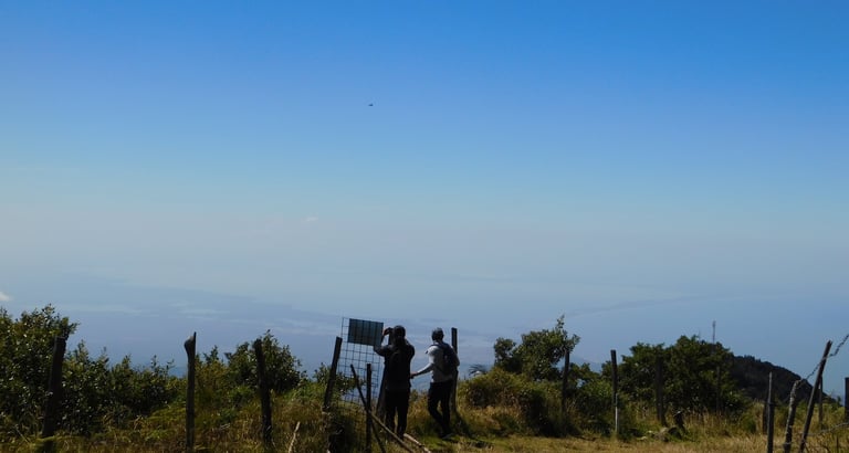 Two hikers standing at a scenic mountain overlook with a panoramic view of the coastline and ocean.