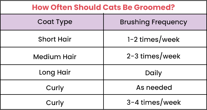 How Often Should Cants be Groomed